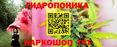 дмт Будённовск
