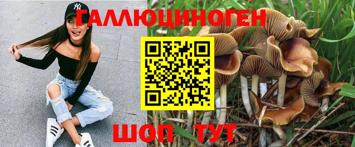 Галлюциногенные грибы мухоморы  купить наркотики сайты  Курган  Вход с VPN 