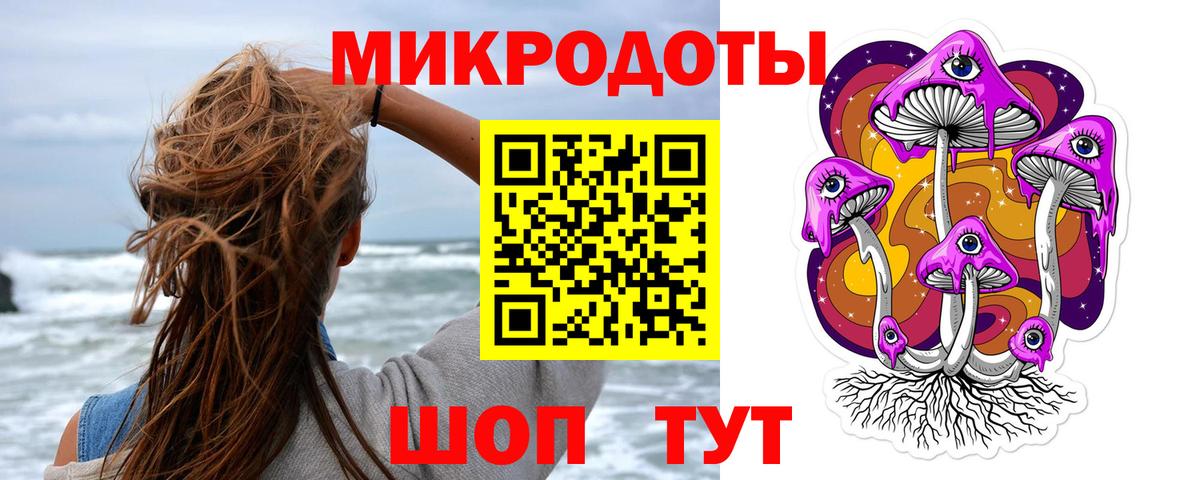 Псилоцибиновые грибы прущие грибы Курган