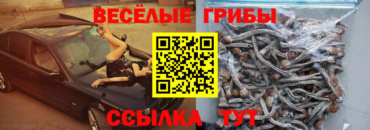 Гашиш Курган